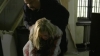 Law_And_Order_SVU_S10E02_avi_001840213.jpg