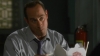 Filename=Law_and_Order_SVU_S10E04_avi_001252167.jpg
Filesize=84KB
Dimensions=624x352
Date added=Oct 22, 2008 Law_and_Order_SVU_S10E04_avi_001252167.jpg