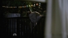 Law_and_Order_SVU_S10E03_avi_000054929.jpg