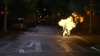Law_and_Order_SVU_S10-06_avi_000046546.jpg