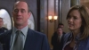 Law_and_Order_SVU_S10E15_HDTV_XviD-LOL_[VTV]_avi_002424255.jpg