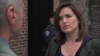Law_and_Order_SVU_S10E21_avi_001777150.jpg