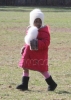 Filename=14~0.JPG
Filesize=49KB
Dimensions=410x576
Date added=Dec 04, 2013 14~0.JPG