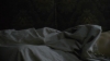 Law_and_Order_SVU_S10E07_avi_001661826.jpg